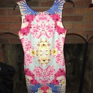 NWT Oxford Circus dress